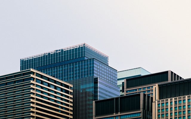 WPS Office官网下载入口，别再走错路了